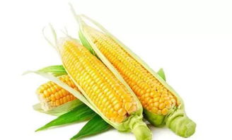 京東進軍蔬菜領(lǐng)域 以創(chuàng)新產(chǎn)品重新定義健康生活標準