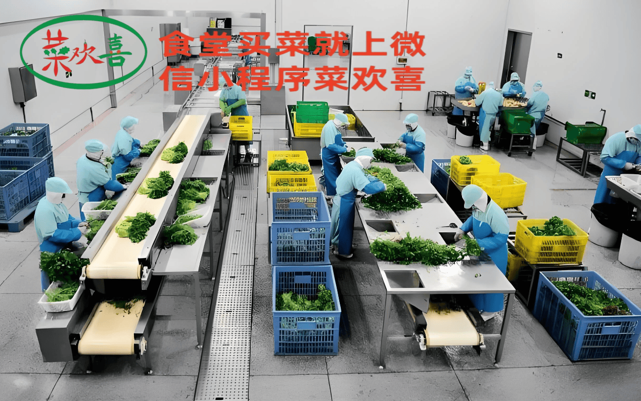 泉州市蔬菜配送市場“菜歡喜”農(nóng)產(chǎn)品銷得快 計算機信息技術(shù)的應用與啟示