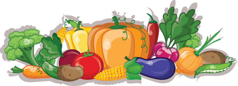 卡通蔬菜與水果 計算機信息技術(shù)在動畫與教育中的創(chuàng)新應用