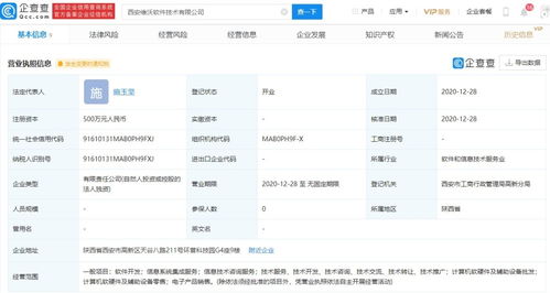 信息系統集成服務 連接技術橋梁，驅動業務創新